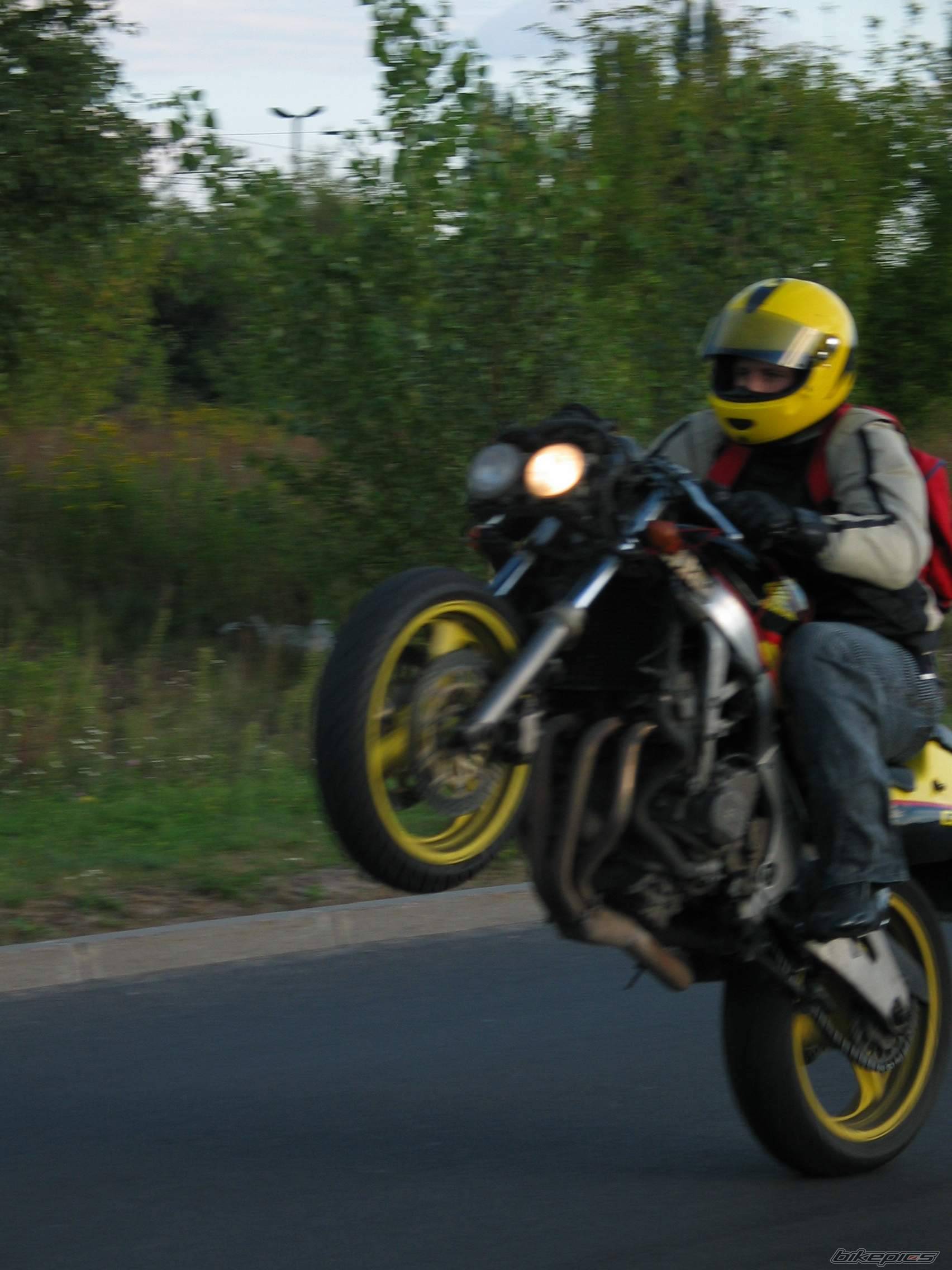 Photo 86183