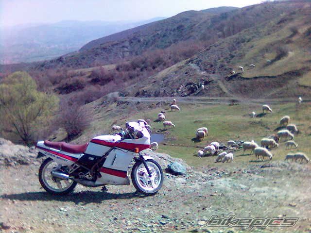 Photo 861982