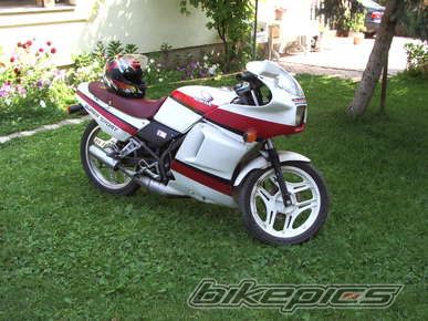 Photo 862006