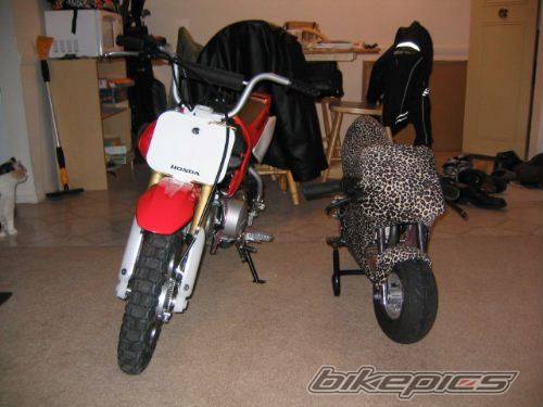 Photo 86212