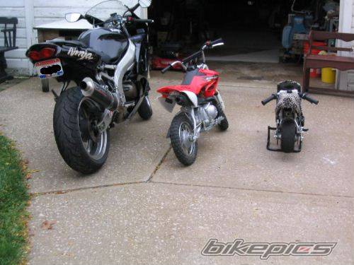 Photo 86214