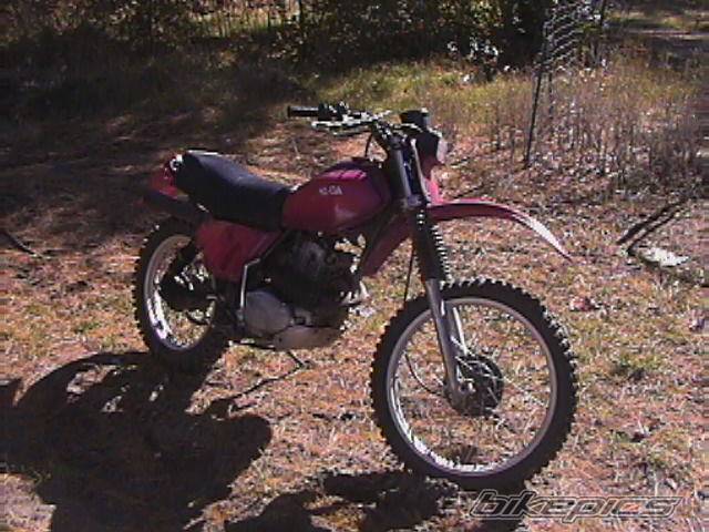 Photo 86242