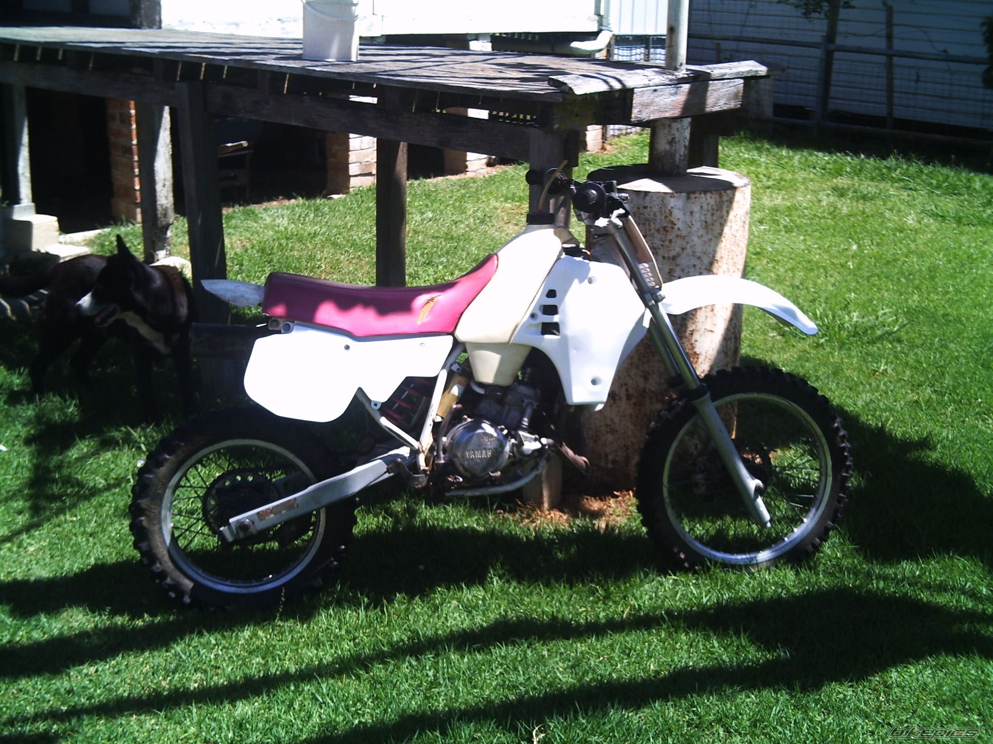 Photo 862576