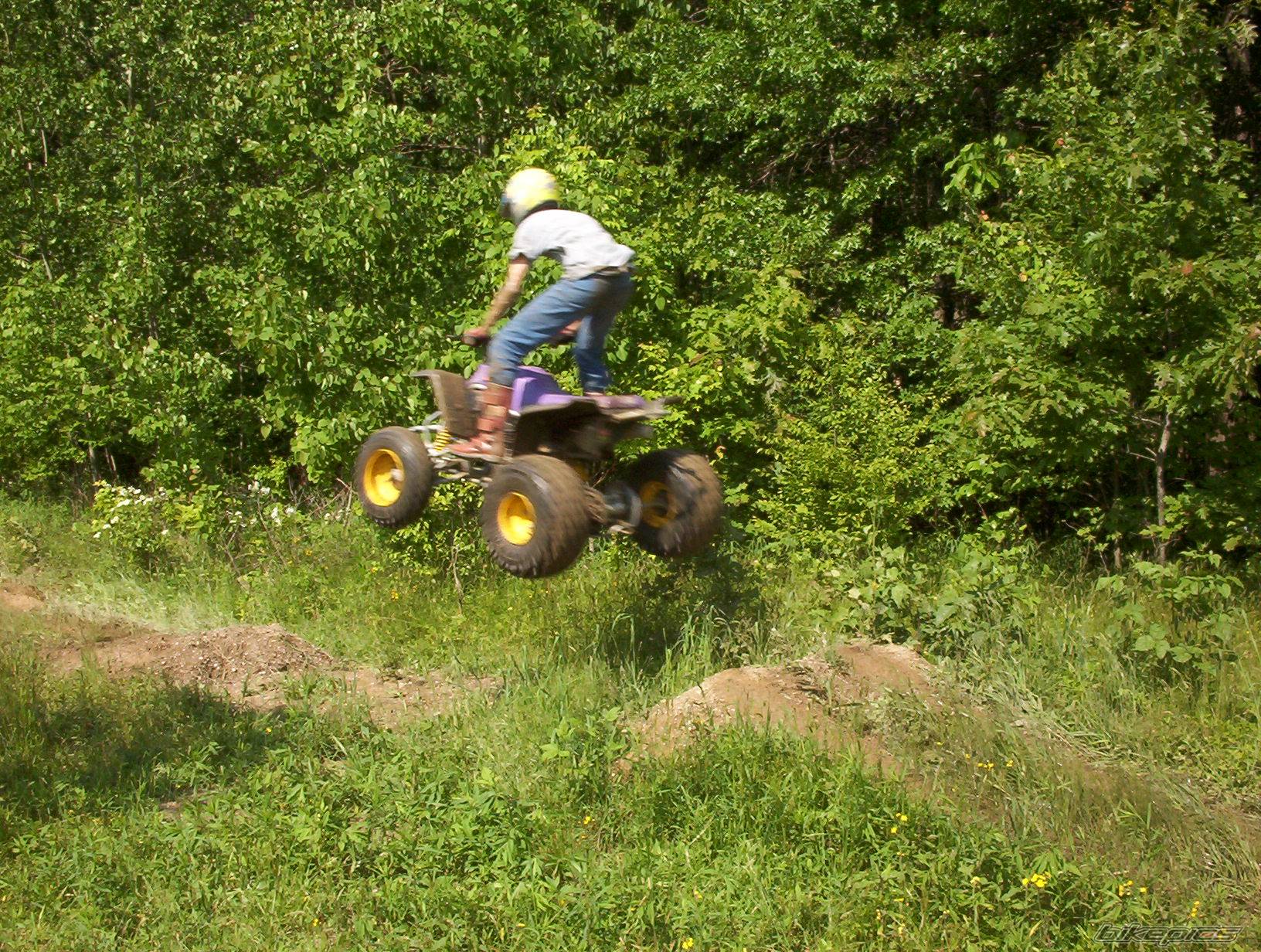 Photo 86346