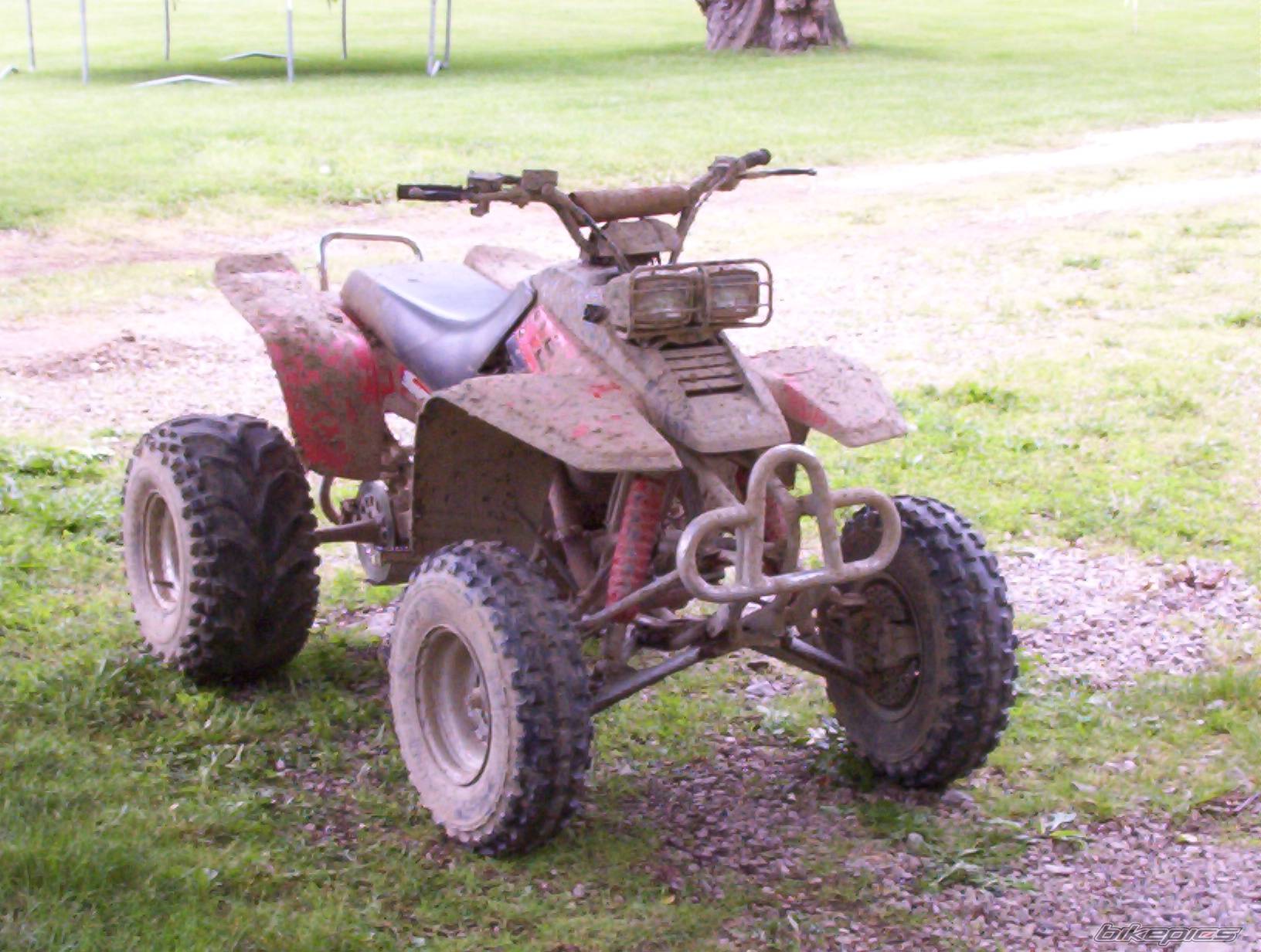 Bike Photo 86359