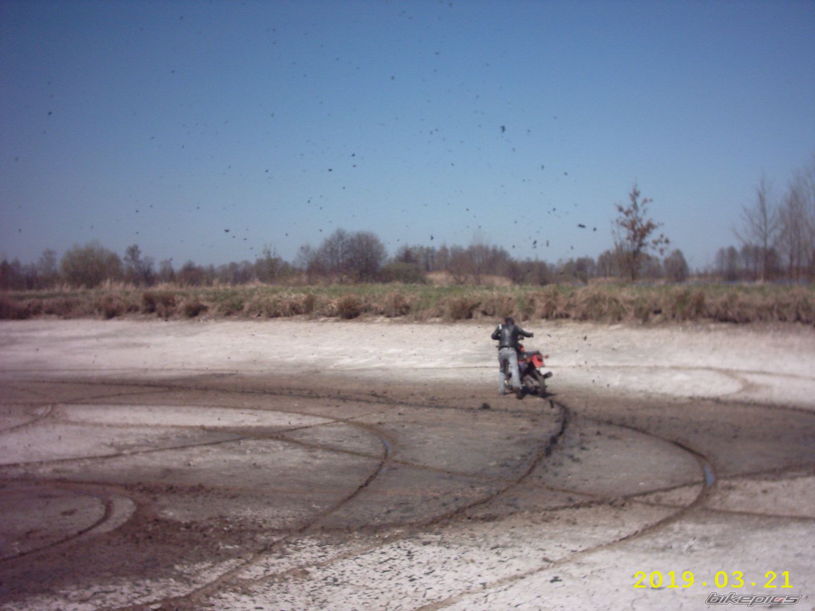 Photo 864011