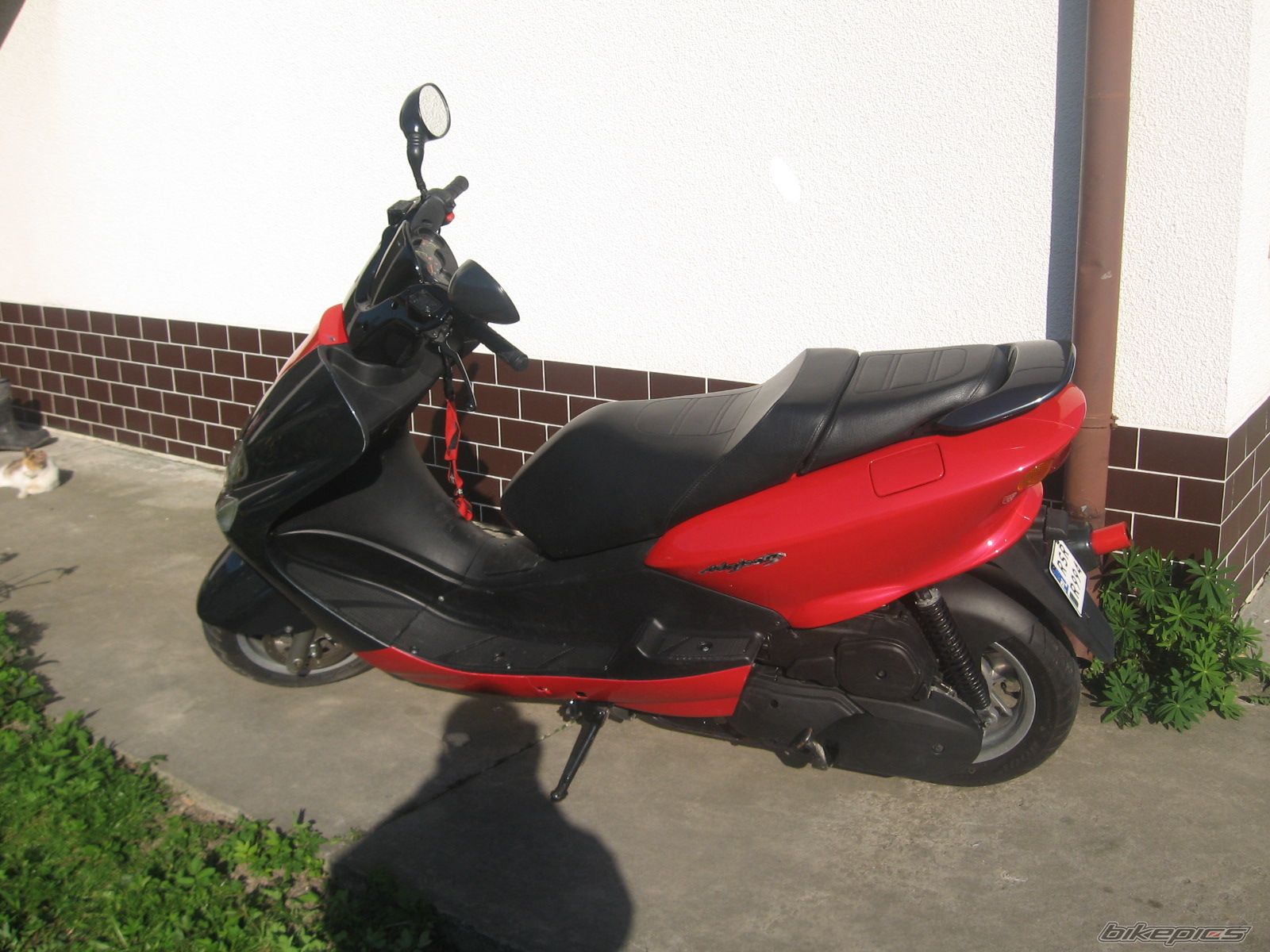 Photo 864075
