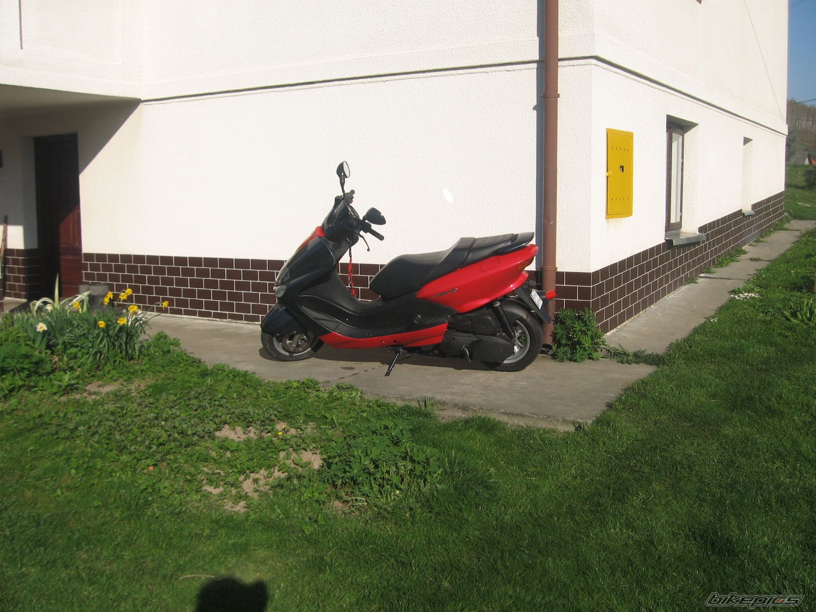 Photo 864106