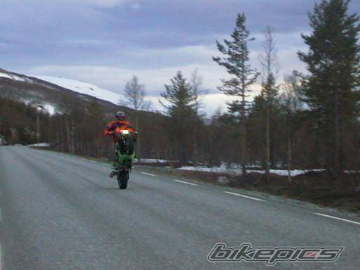Bike Photo 8648