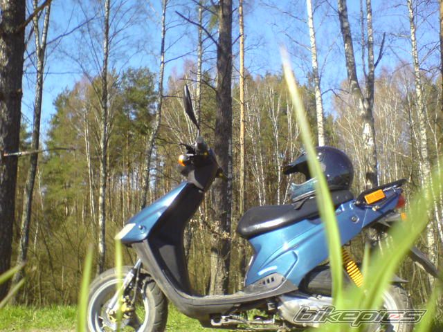 Photo 865088
