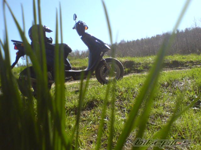Photo 865090