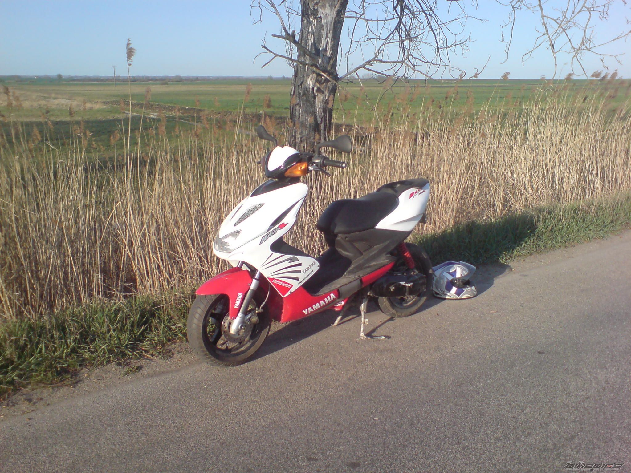 Photo 865215