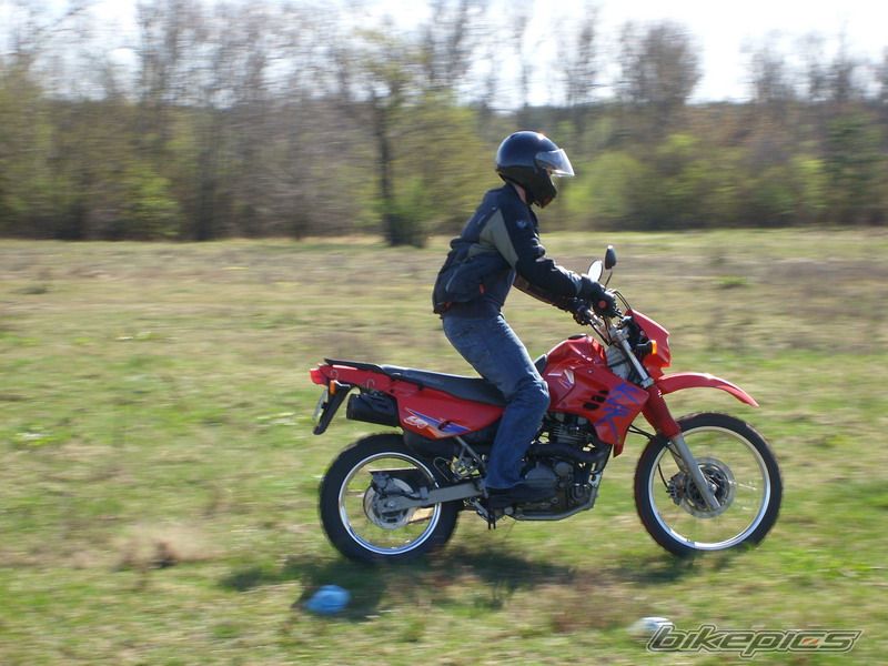 Photo 865302