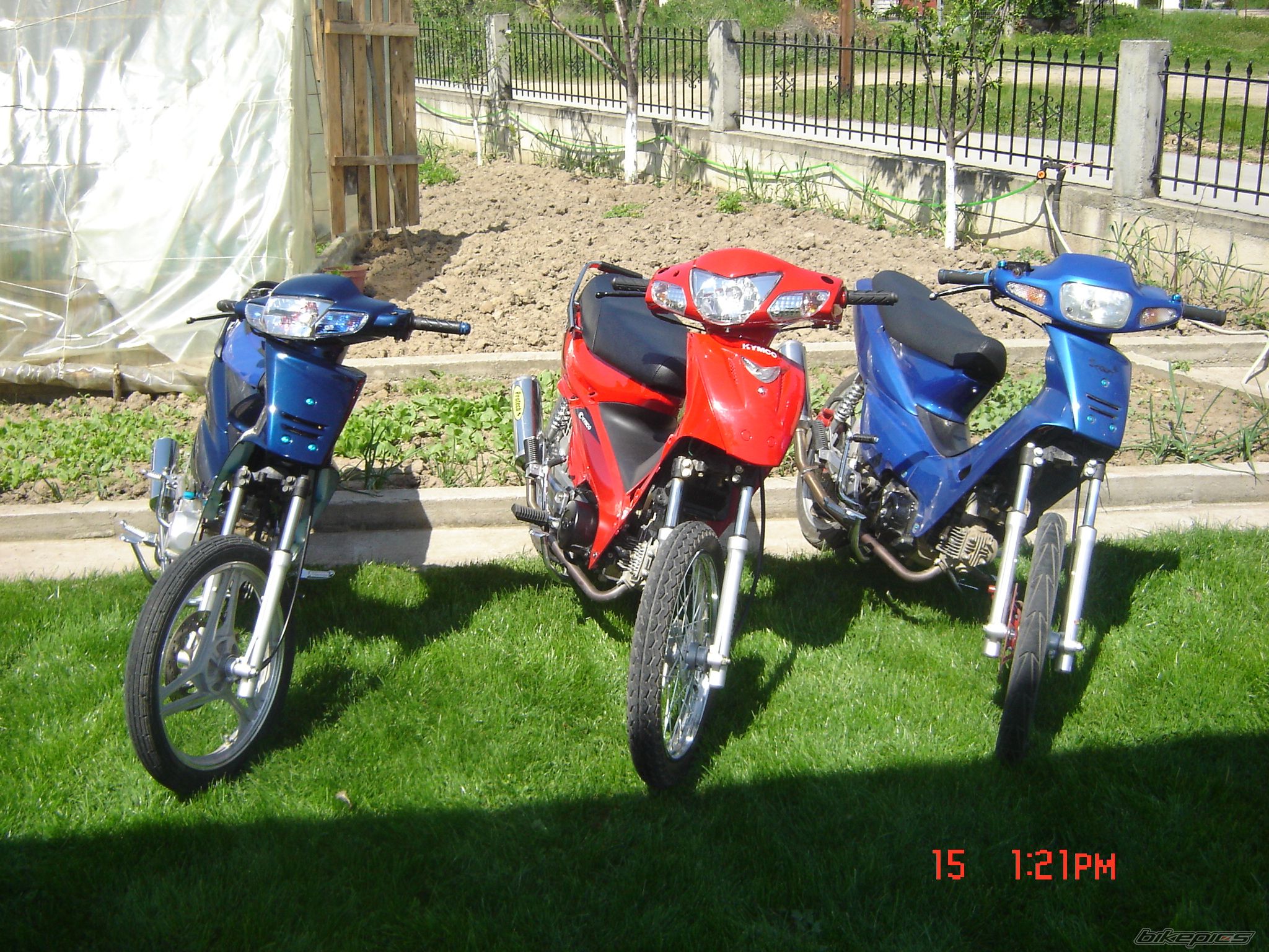 Photo 865332