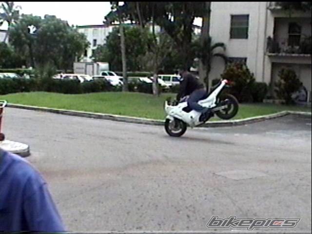Photo 8659