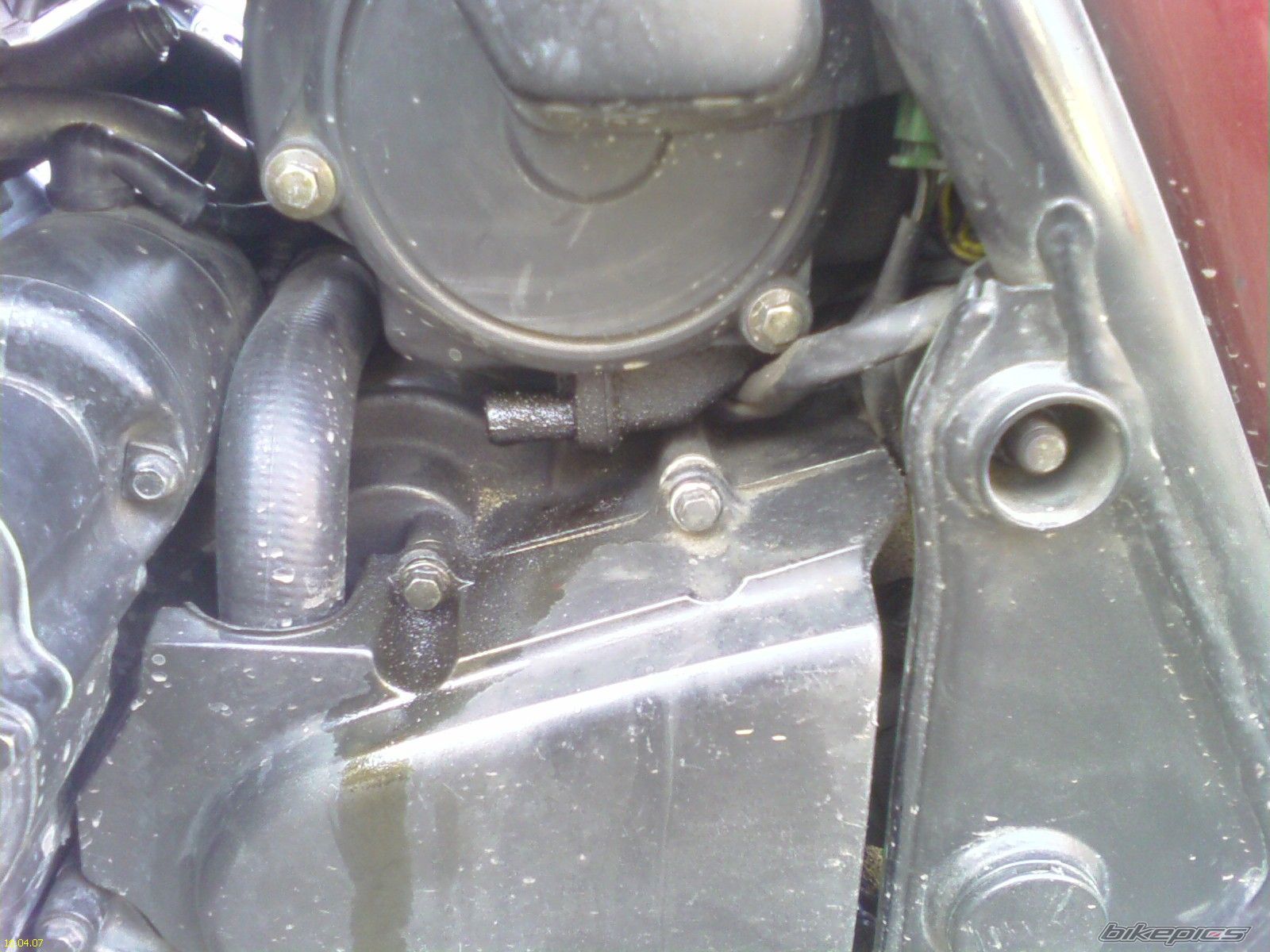Photo 866022