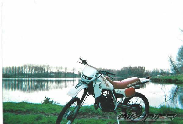 Photo 86614