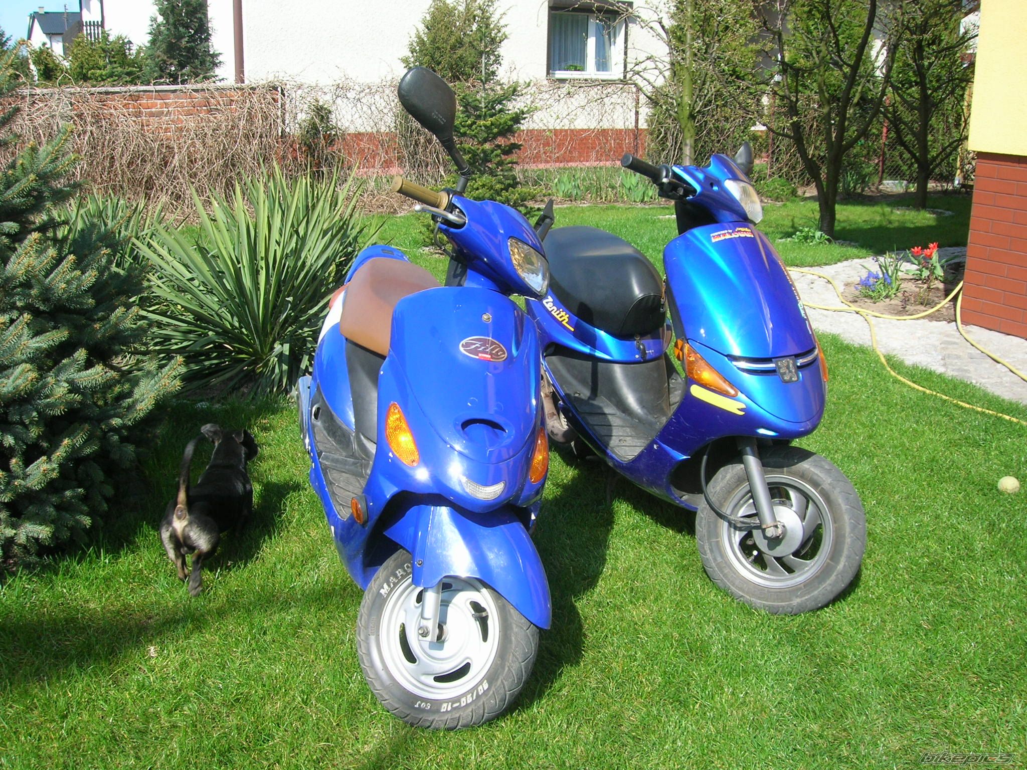 Bike Photo 866286