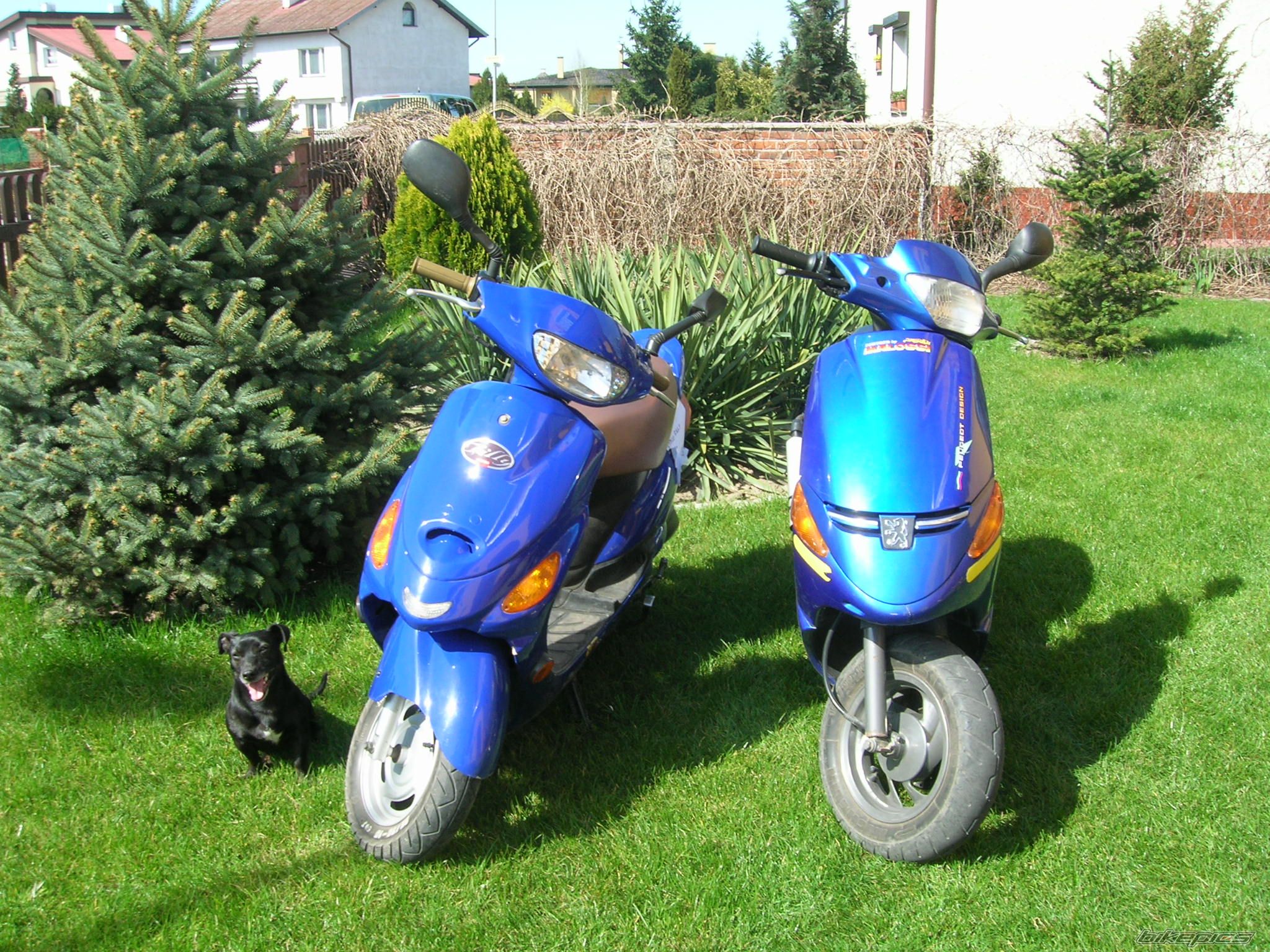 Bike Photo 866291