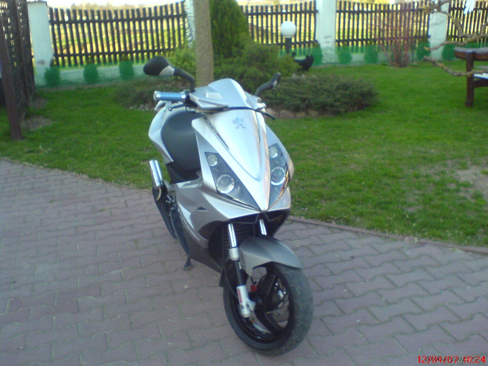 Photo 866490