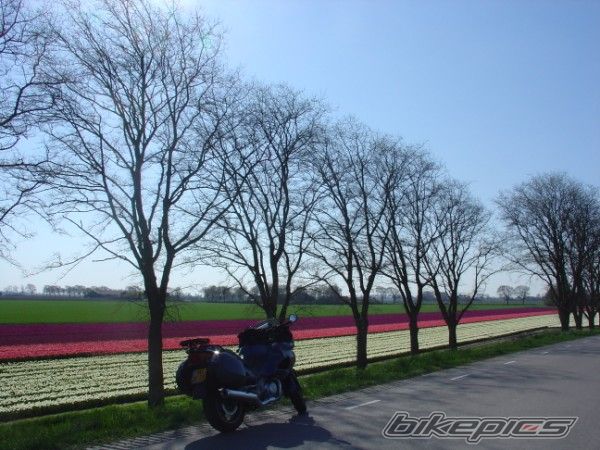 Bike Photo 866624