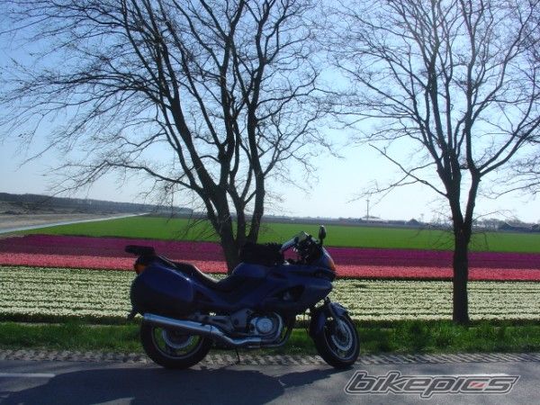 Bike Photo 866625
