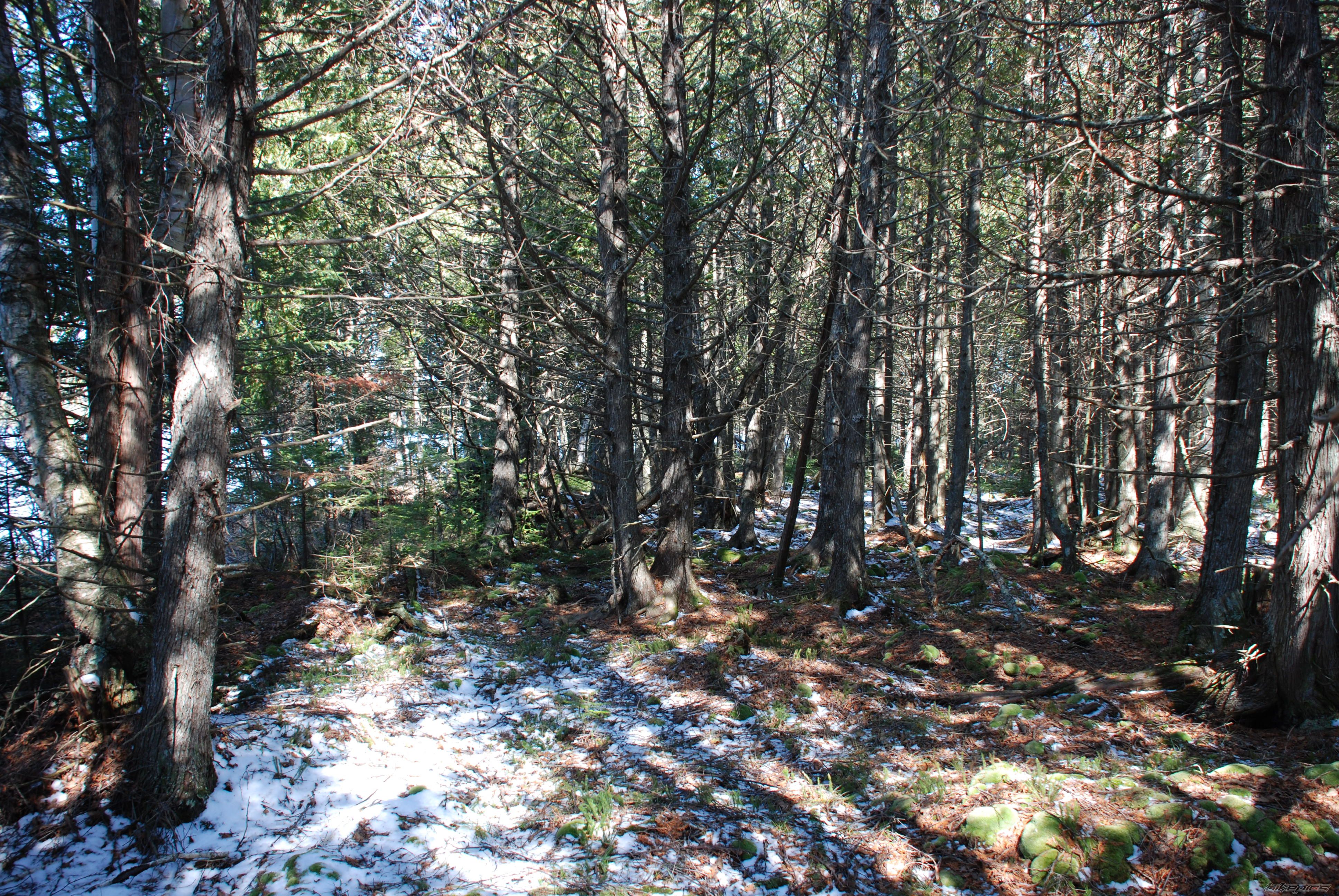 Photo 867020