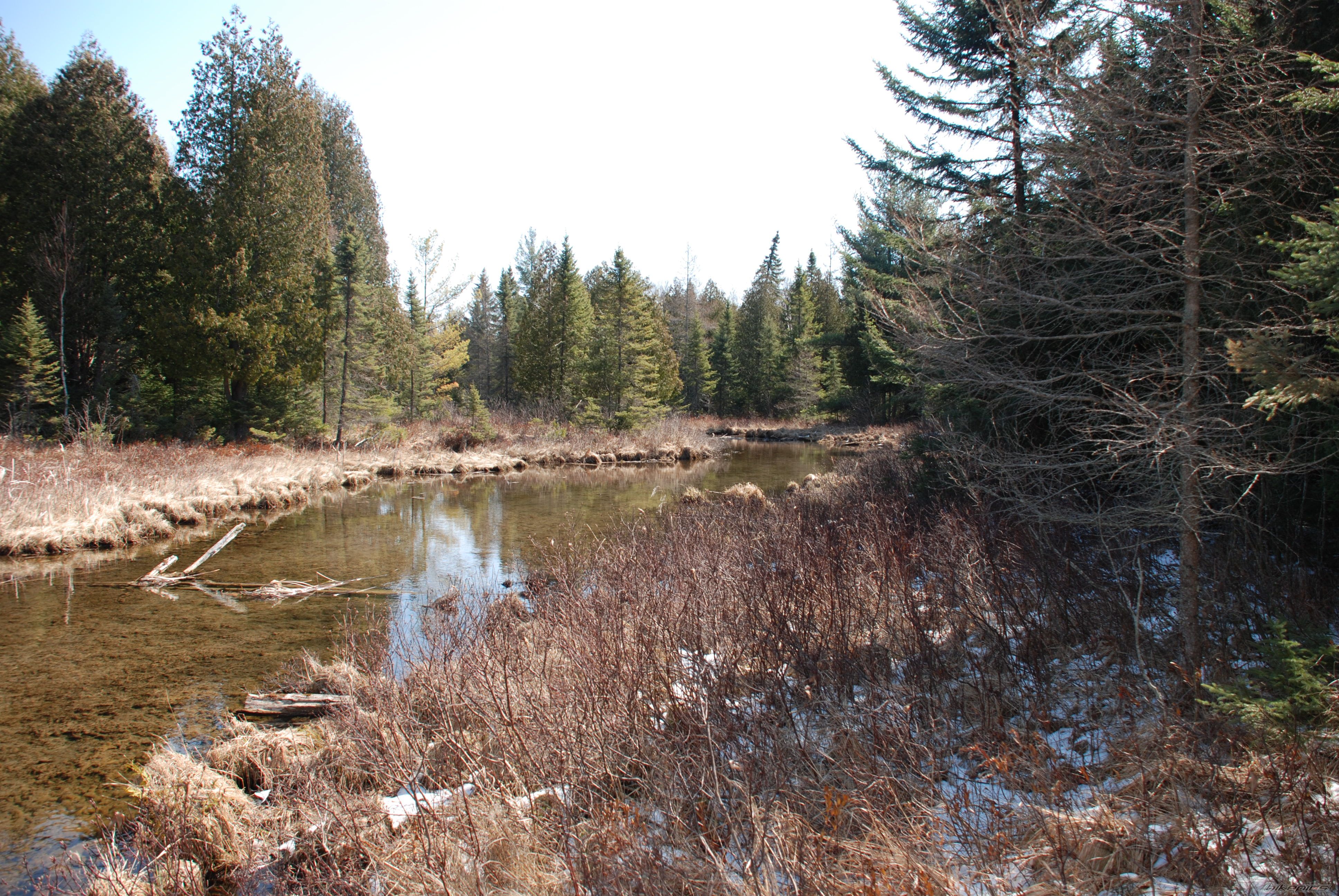 Photo 867021
