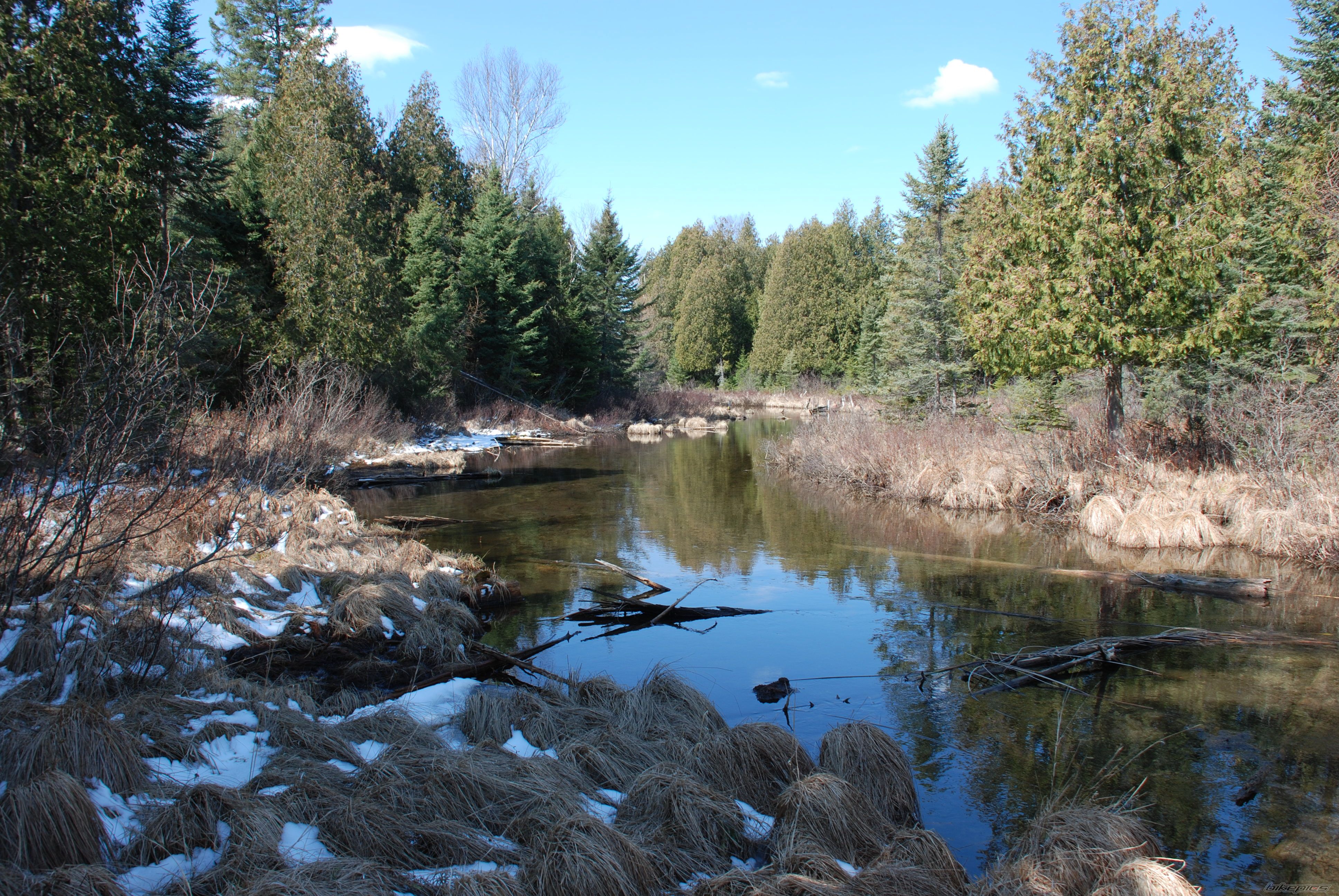Photo 867022