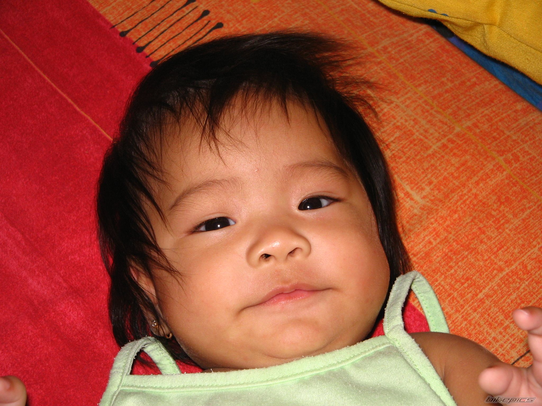Photo 867076