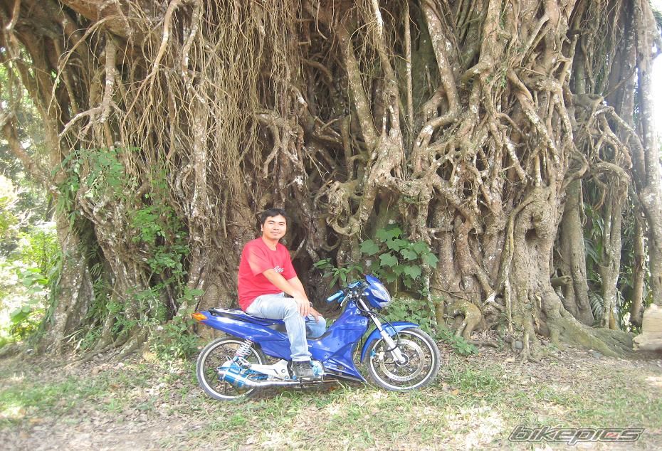Photo 867297