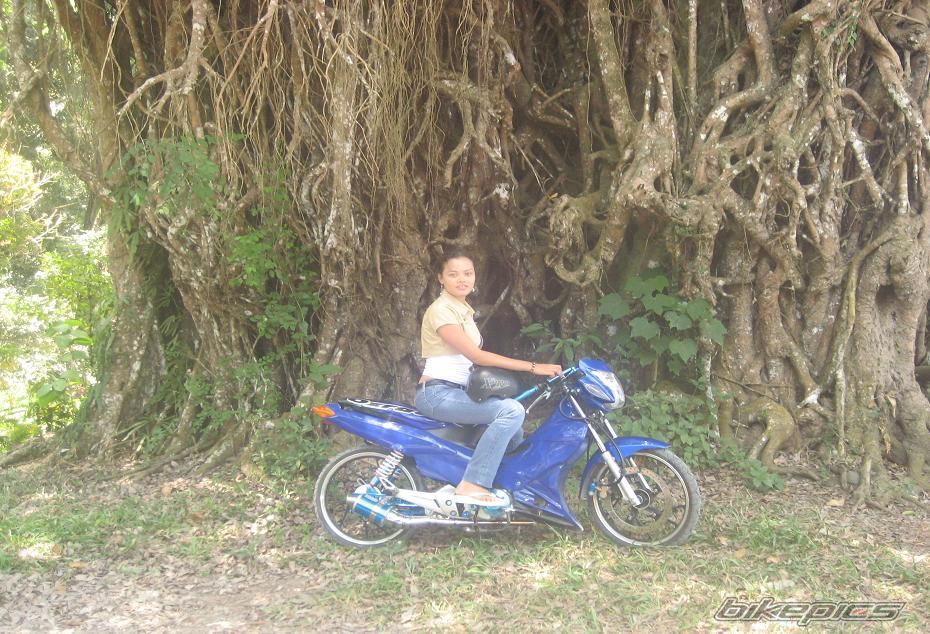 Photo 867298