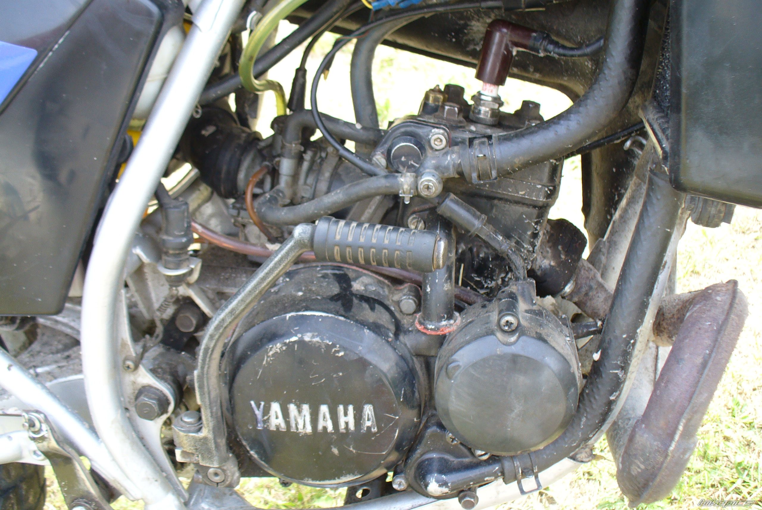 Bike Photo 867564