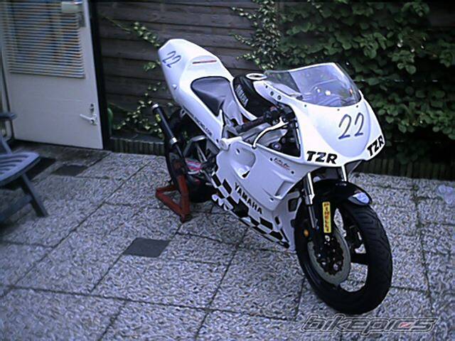 Photo 86769