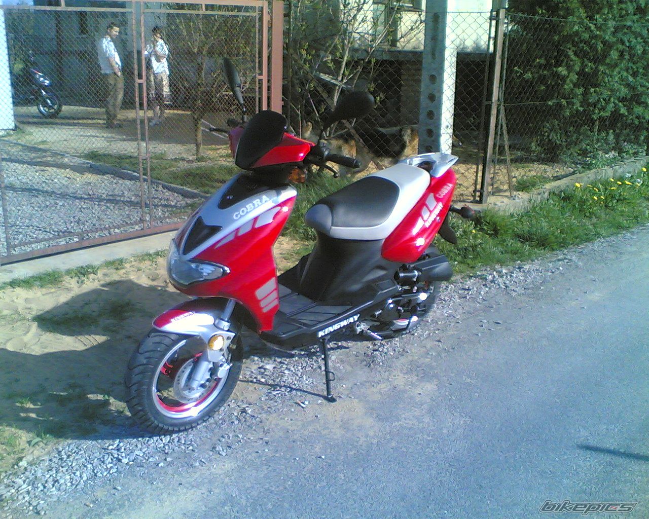 Photo 868007