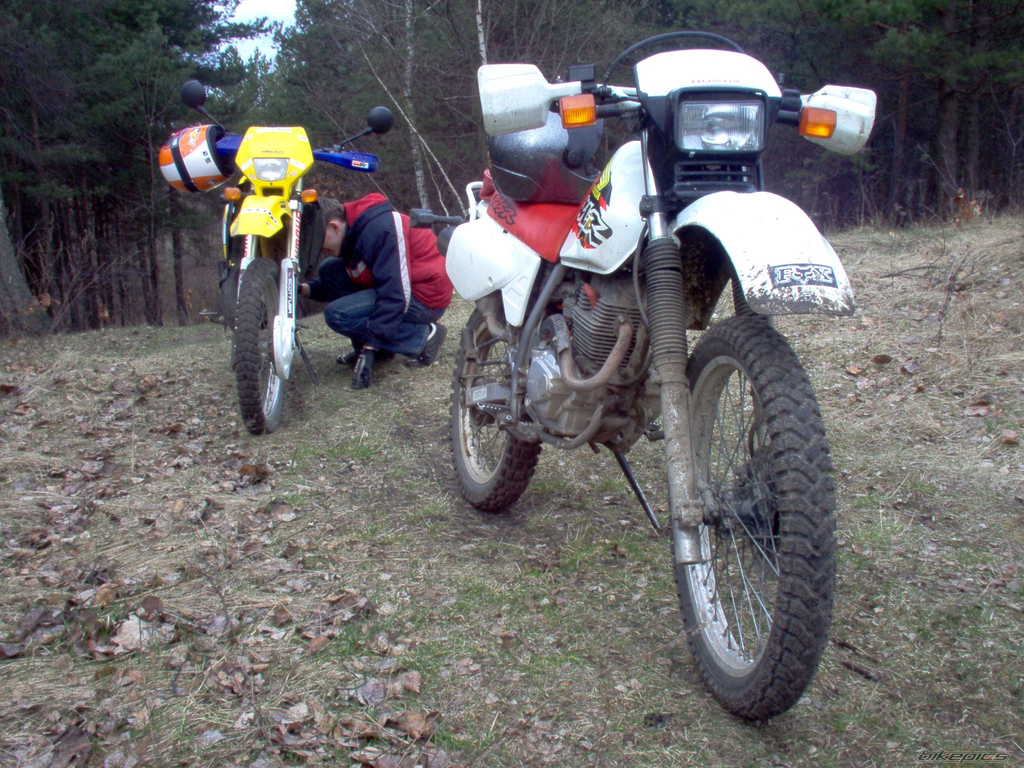 Bike Photo 868312
