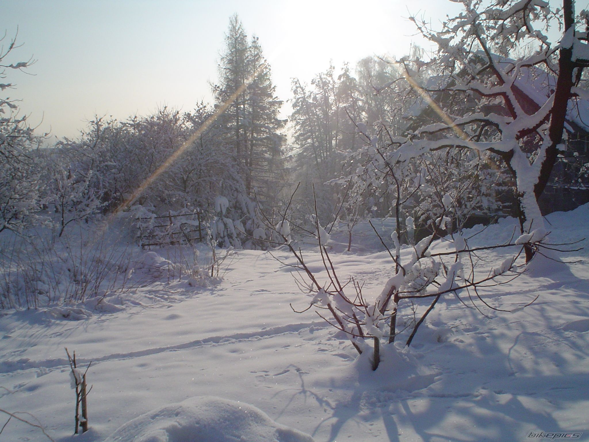 Photo 868361