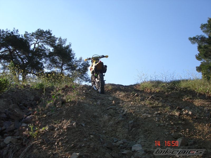 Photo 868434