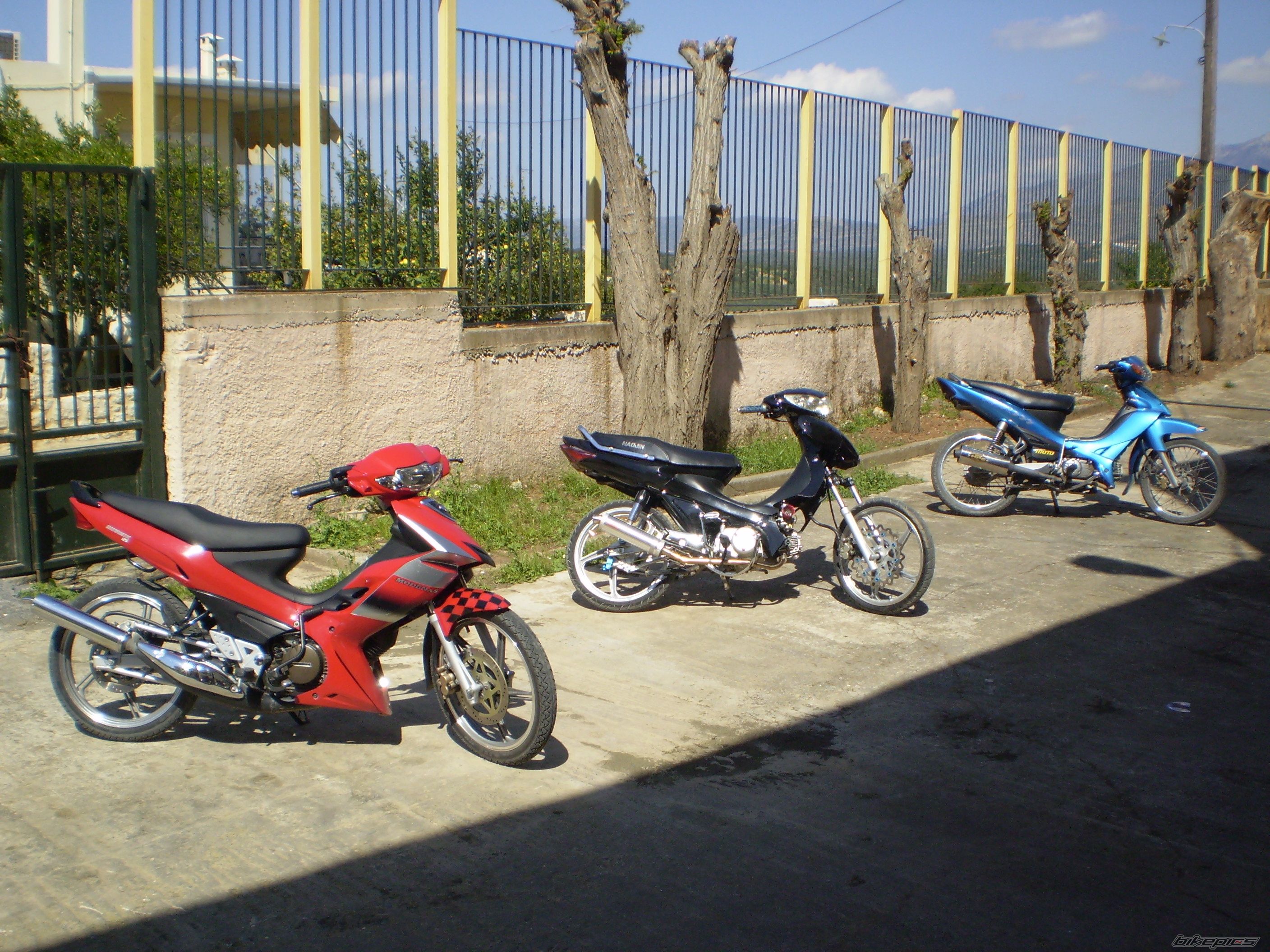 Photo 868521