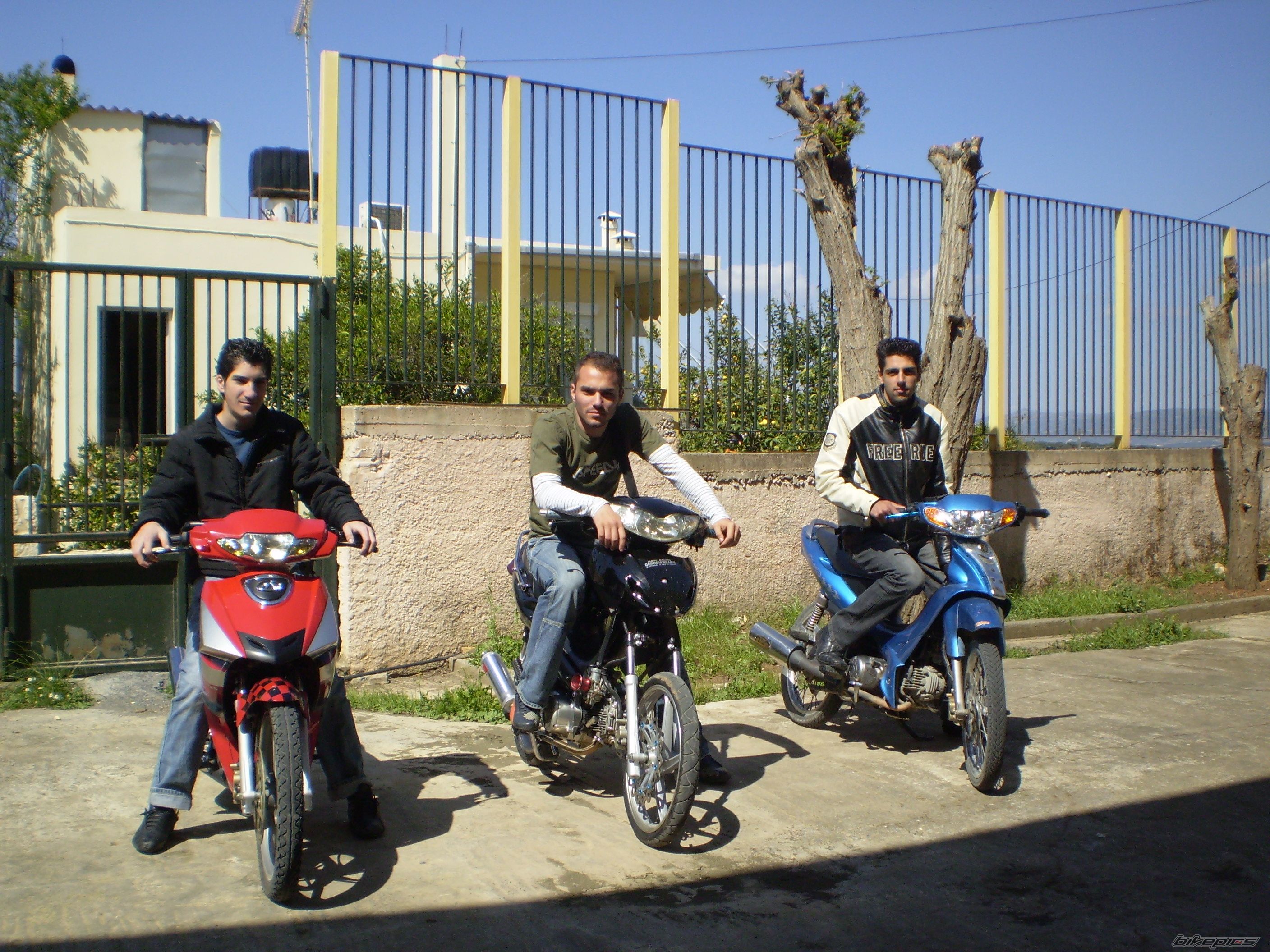 Photo 868533