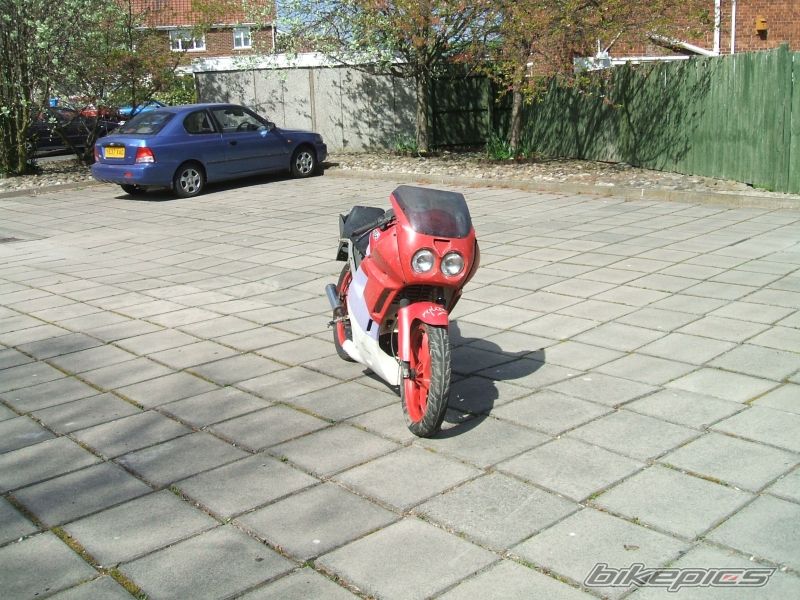 Photo 868590