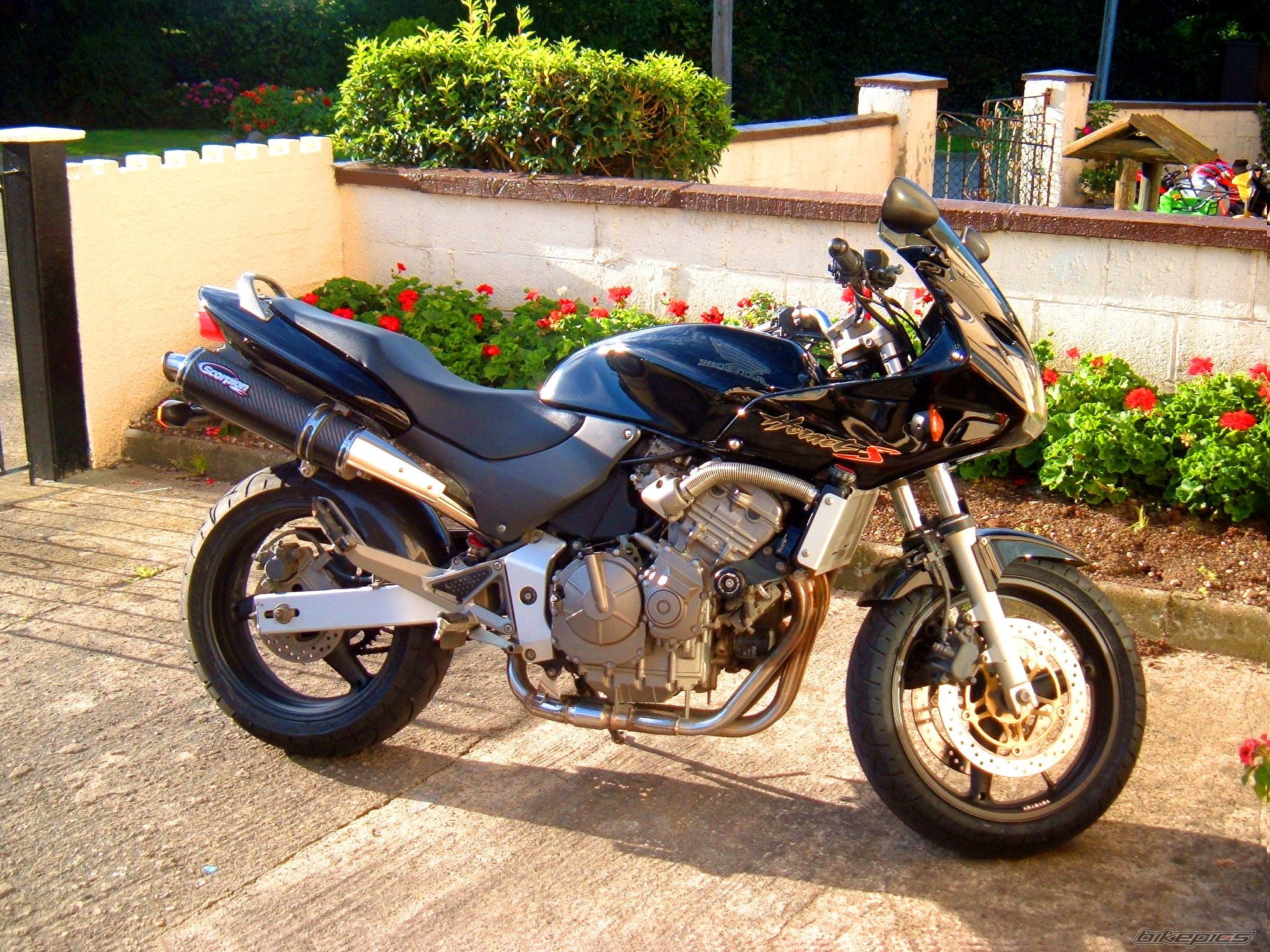 Bike Photo 868805