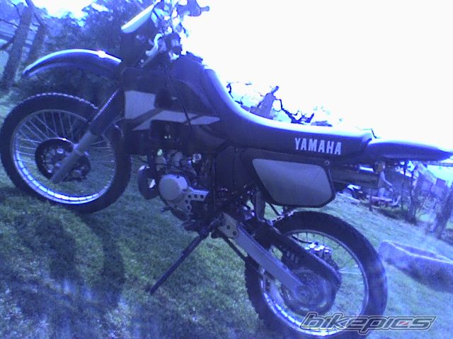Photo 869255