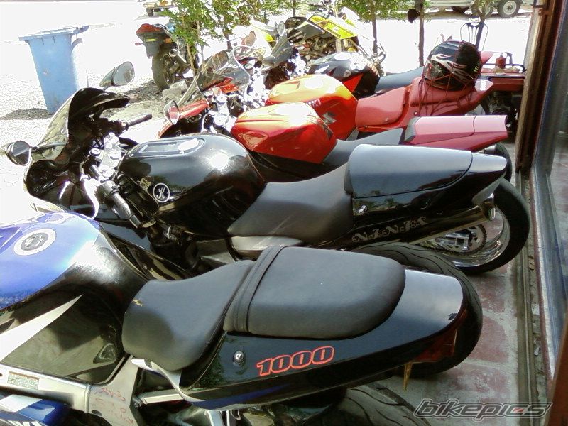 Photo 869318