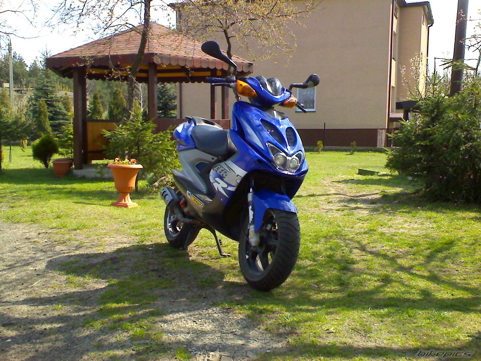 Photo 869393