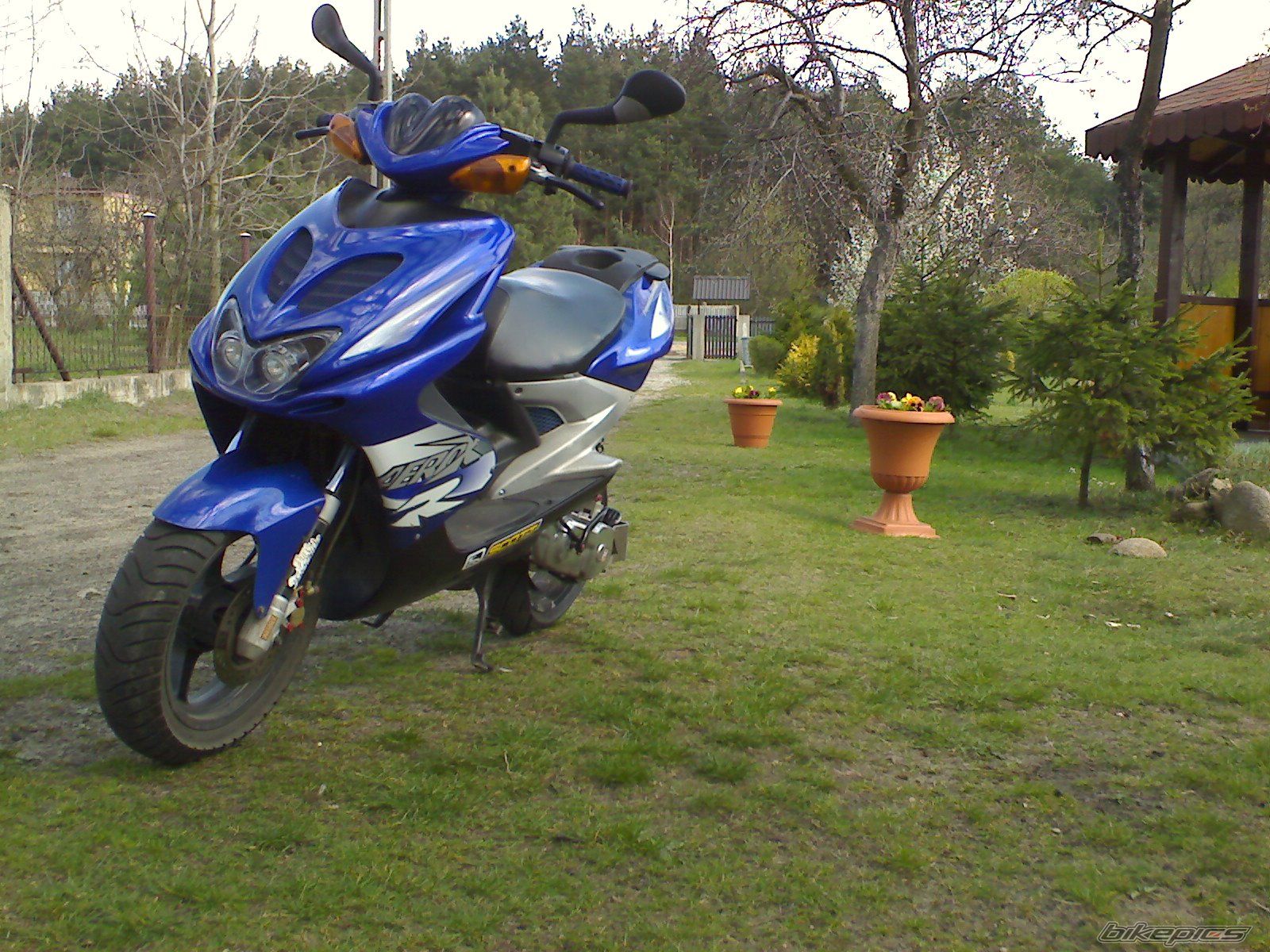 Photo 869396