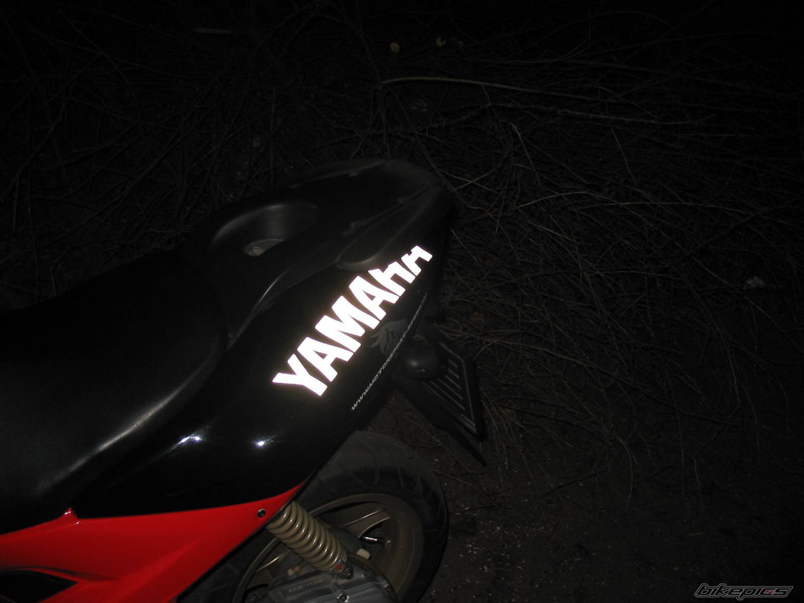 Photo 86963