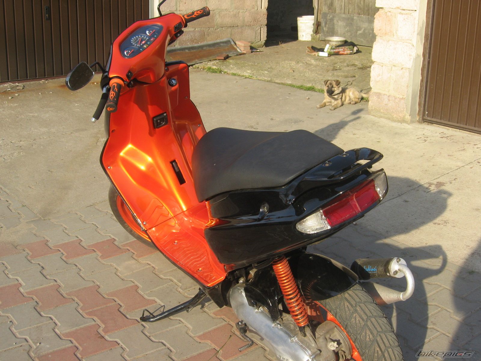Photo 869768