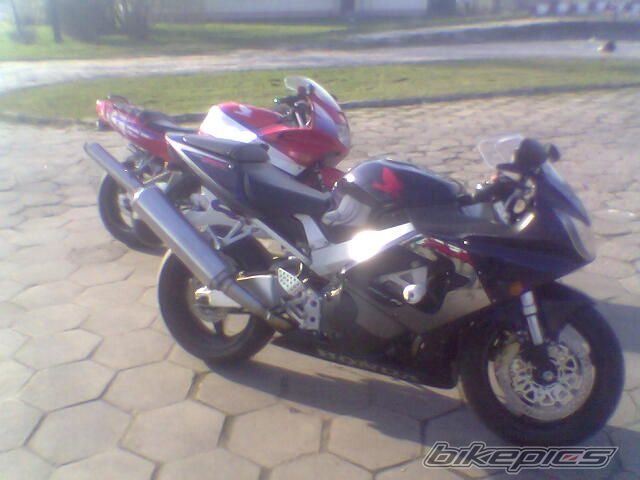 Photo 869841