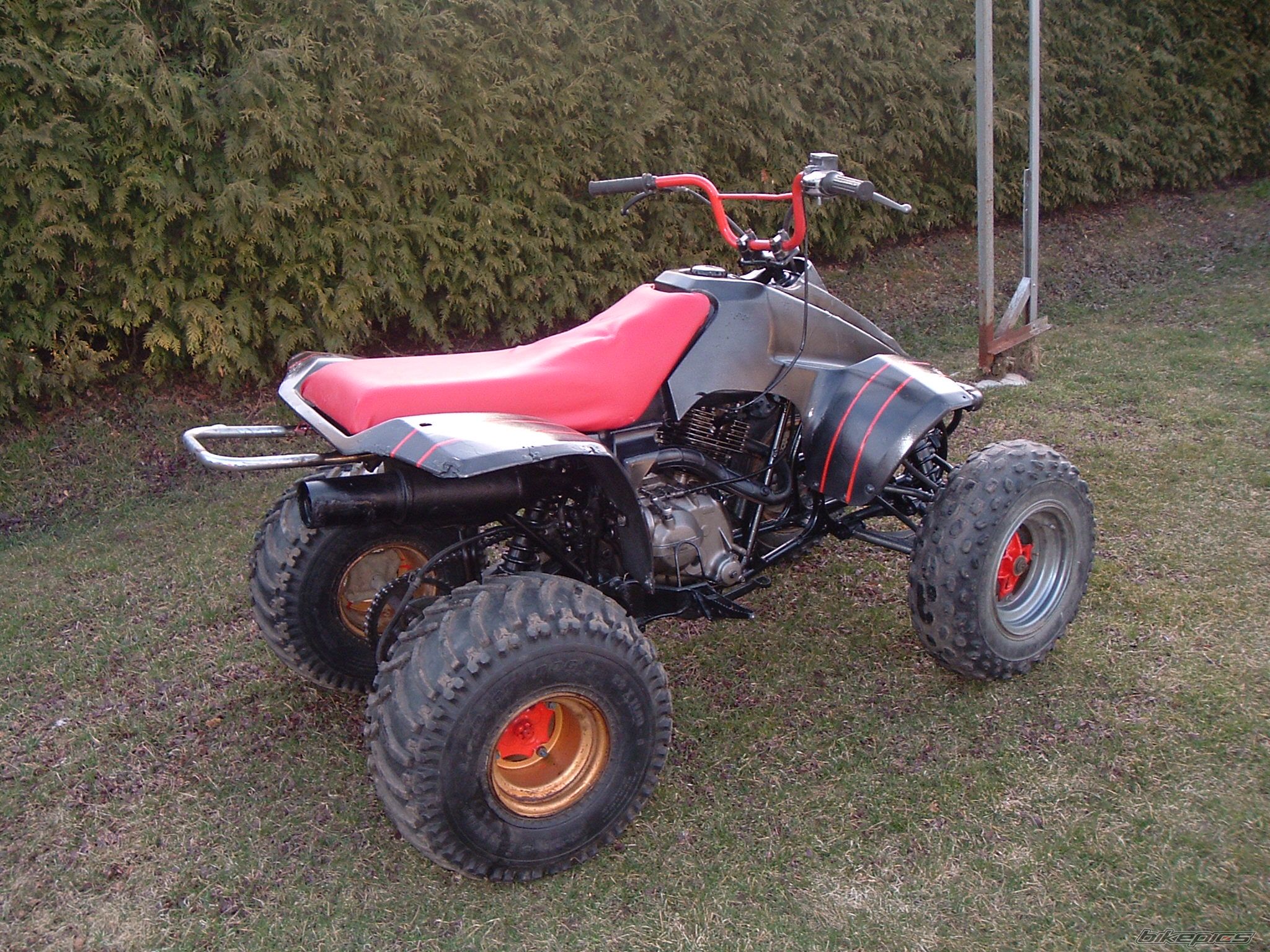 Photo 869973